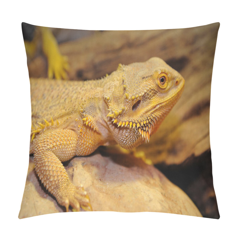 Personality  Bearded Dragon On The Wood. Pillow Covers