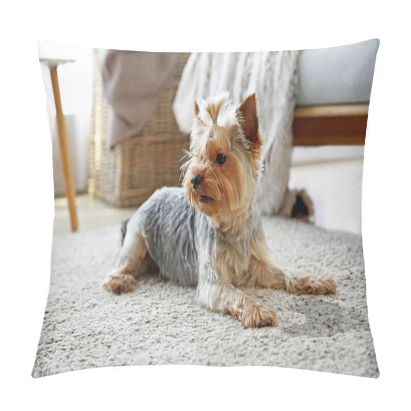 Personality  Cute Dog Near Wet Spot On Carpet Pillow Covers