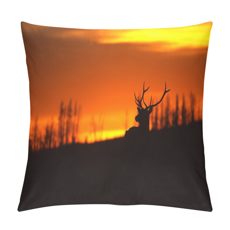 Personality  Bull Elk In Sunset Pillow Covers