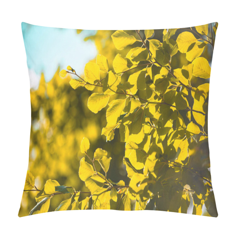 Personality  Autumn Leaf At Sky Background. Yellow Leaf Autumn Background. Forest Background. Yellow Nature Background. Leaf In Forest. Leaves Backdrop Pillow Covers