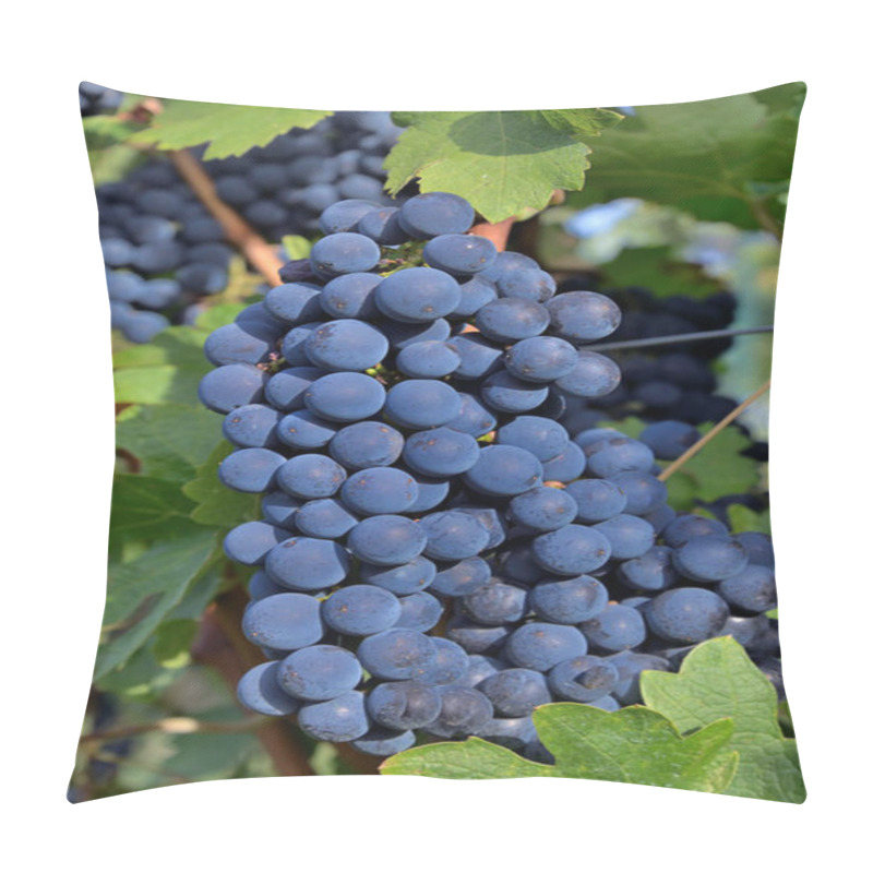 Personality  CABERNET SAUVIGNON WINE GRAPES Pillow Covers