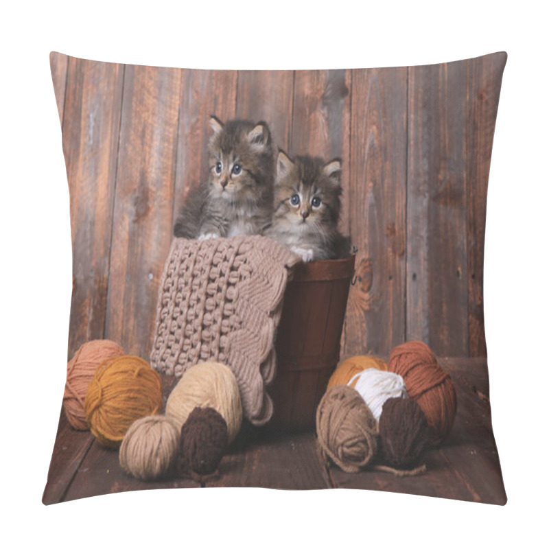 Personality  Kittens With Balls Of Yarn In Studio Pillow Covers