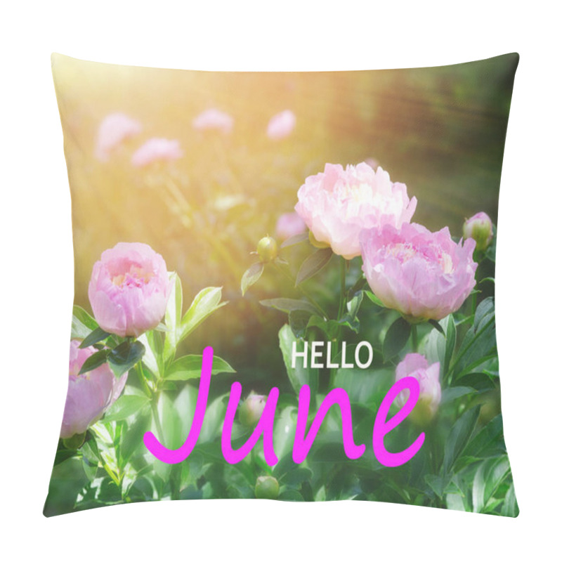 Personality  Hello June. Blooming Pink Peonies In A Garden Setting. Paeonia Lactiflora Raspberry Sundae Pillow Covers