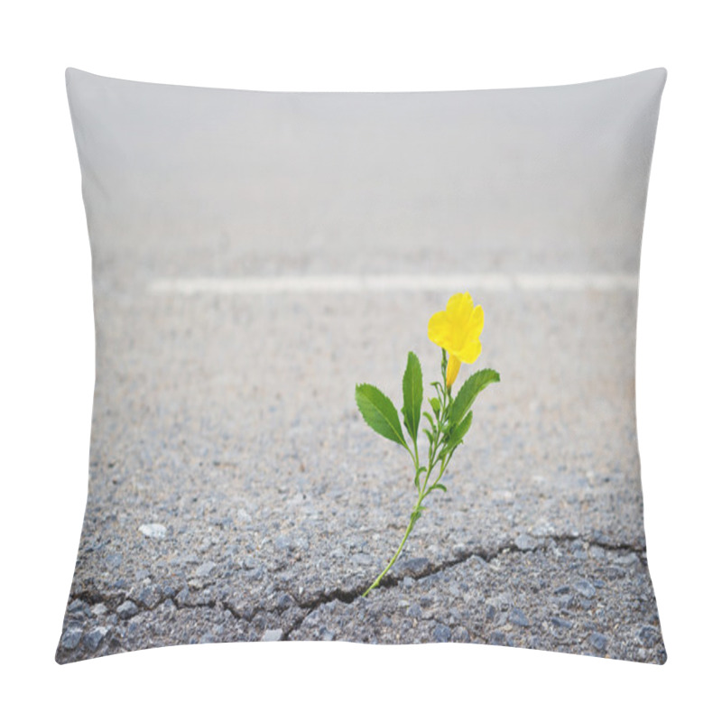 Personality  Yellow Flower On Crack Street, Soft Focus Pillow Covers