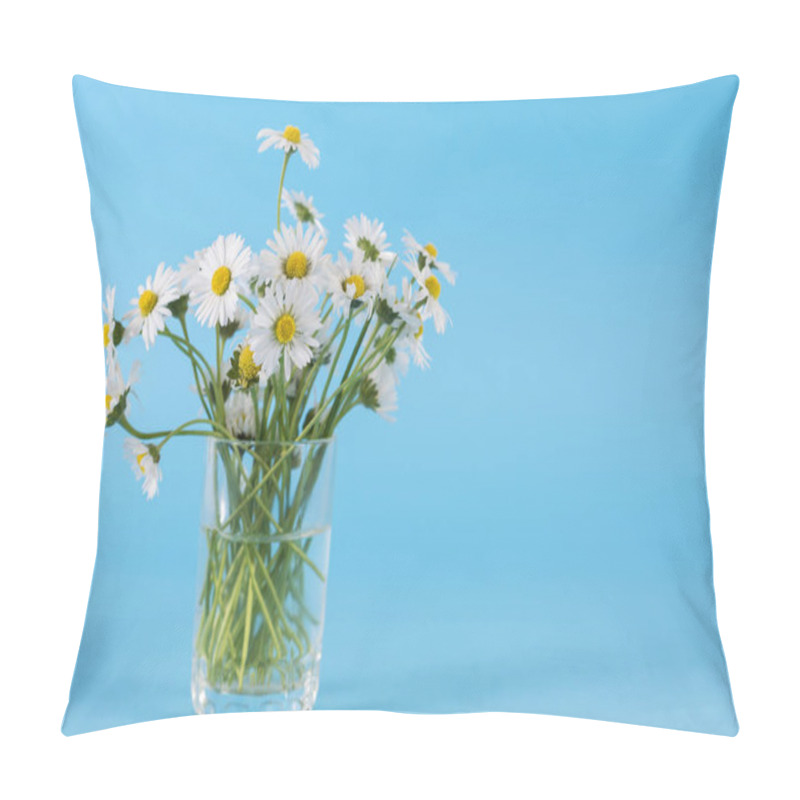 Personality  White Daisy Flowers In Glass Vase Isolated On Blue Background In Studio With Space For Text Pillow Covers