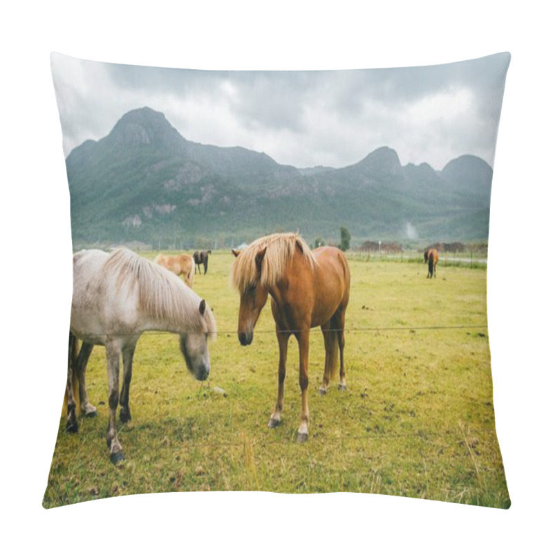 Personality  Wildlife In Norway. Scandinavian Fjord Beautiful Horses On Pasture Eat Grass On Field In Summer Rainy Weather. Cloudy Sky. Mountains On Background. Rocks. Funny Mammal Animals. Rural. Travel. Nature. Pillow Covers