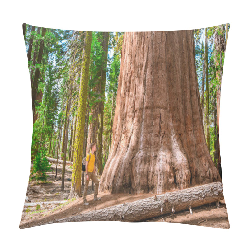 Personality  A Young Male Tourist At The Huge Sequoia General Sherman In The Sequoia Park In The USA Pillow Covers