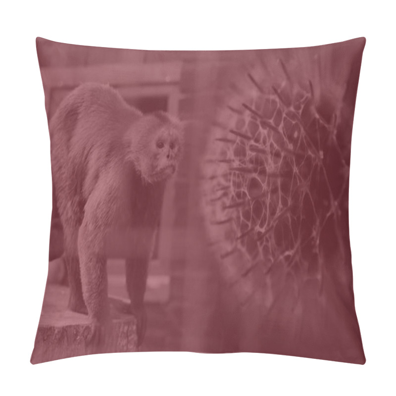 Personality  Monkeypox Virus. Red Background. Outbreak Concept. Virus Transmitted To Humans From Animals. Monkeys May Harbor The Virus And Infect People. New Pandemic. Word Monkeypox. Blurred. Molecular. Health. Pillow Covers