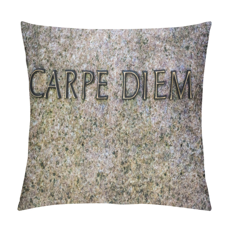 Personality   Metal Words On Stone Background With Phrase -  Carpe Diem -  Text Pillow Covers