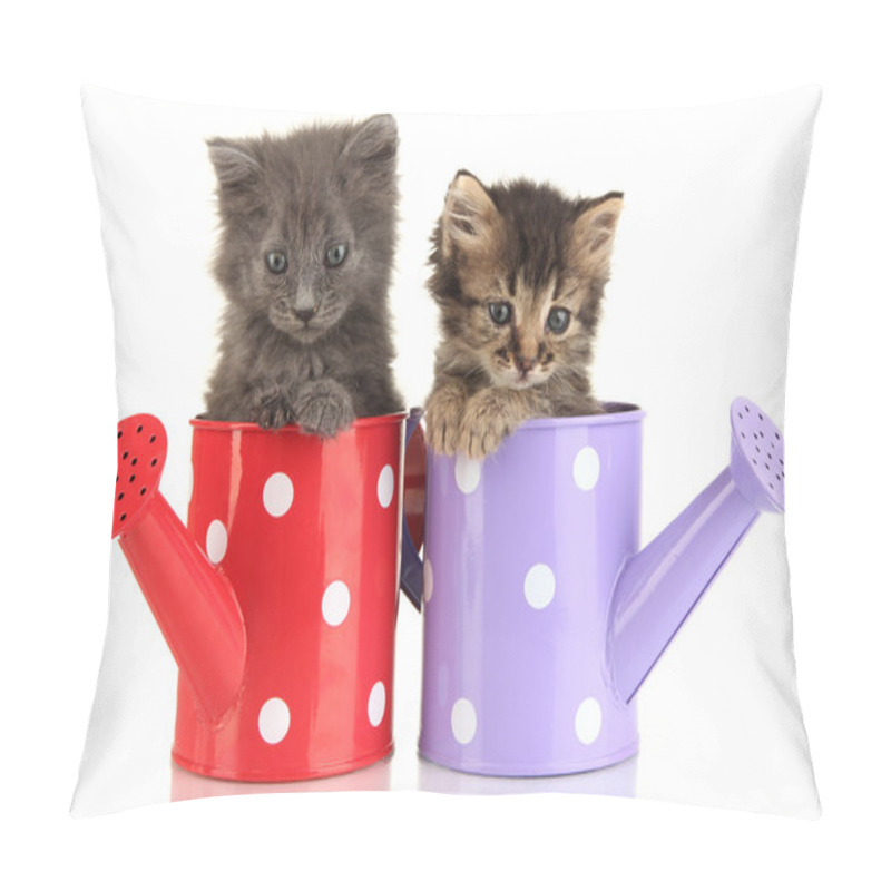 Personality  Small Kittens Sitting In Watering Can Isolated On White Pillow Covers