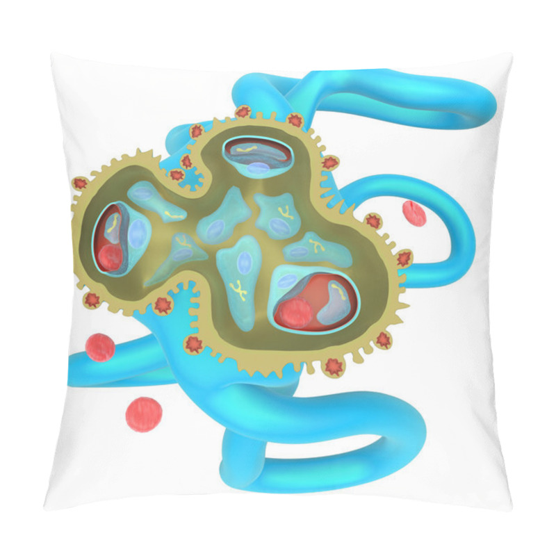 Personality  Glomerulusnephritis Kidney Disease Pillow Covers