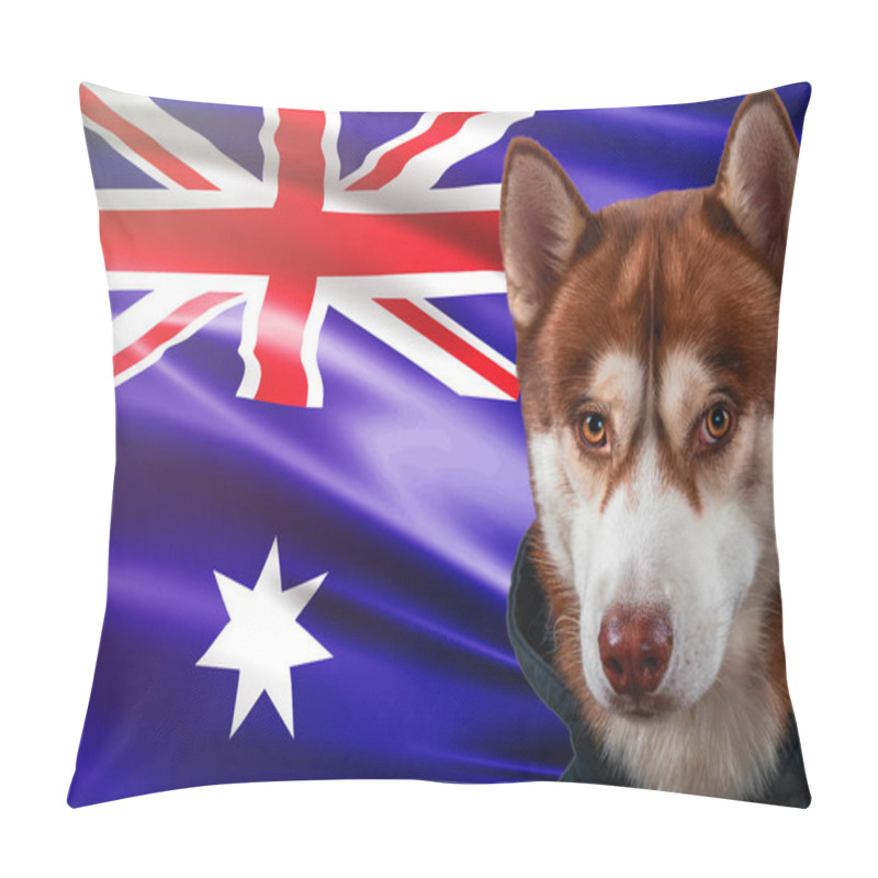 Personality  Patriotic Dog Proudly In Front Of Australia State Flag. Portrait Siberian Husky In Sweatshirt In The Rays Of Bright Sun. Pillow Covers