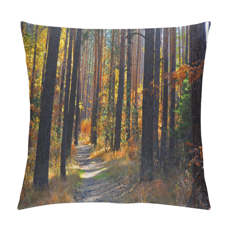 Personality  Walk In The Autumn Forest On A Footpath Among The Pine Trees Enjoying The Bright Colors Of Yellow And Red Leaves. Pillow Covers