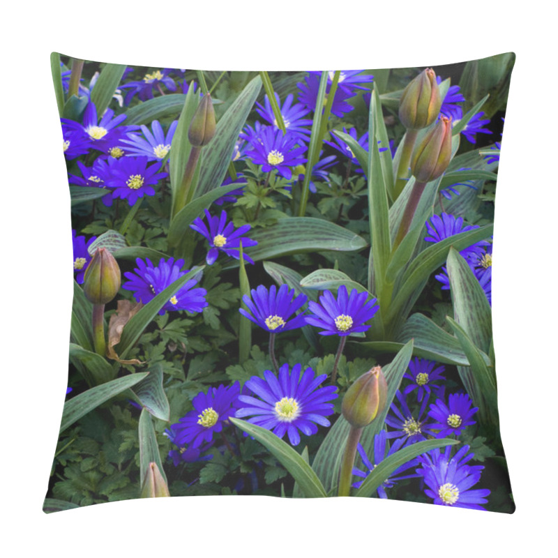 Personality  Anemone Blanda Gemengd Flowers Pillow Covers