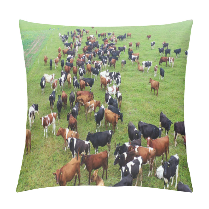 Personality  Aerial View Of Cows Herd Grazing On Pasture Field, Top View Drone Pov , In Grass Field These Cows Are Usually Used For Dairy Production. Pillow Covers