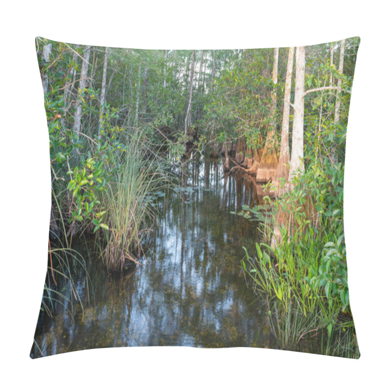 Personality  Water Flowing In Cypress Swamp In Everglades National Park, Florida At Sunrise. Pillow Covers