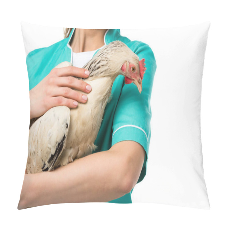 Personality  Partial View Of Veterinarian Holding Chicken Isolated On White Pillow Covers