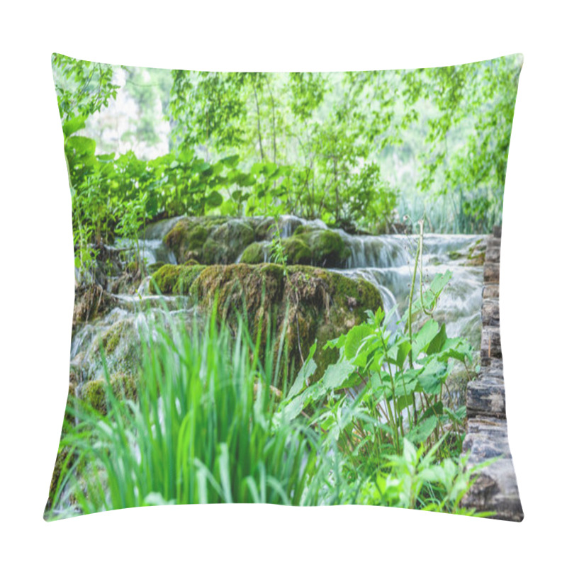 Personality  Small Fish Swimming Near Edge Of Pond, Croatia Pillow Covers