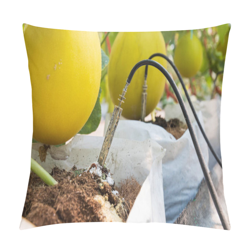 Personality  Clogging Problems Of Drip Irrigation System Pillow Covers