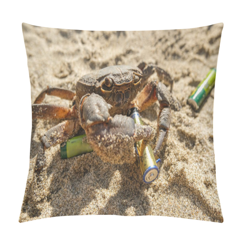 Personality  Sea Crab Hold Discarded Lithium Battery On Polluted Marine Beach Ecosystem Pillow Covers