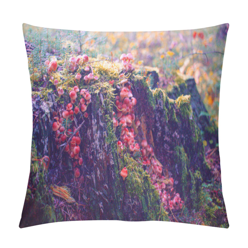 Personality  WIld Fungi Mushroom At A Free Stump In Fall Nature In The Czech Republic, Natural Photo Pillow Covers