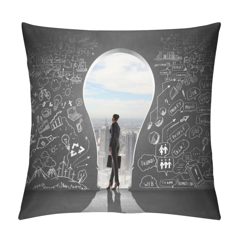 Personality  Businesswoman And Business Plan Pillow Covers