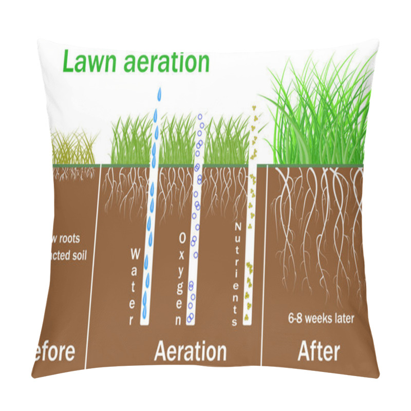 Personality  Lawn Aeration For Active Plant Growth. Free Access Of Water And Air To Soil. Process Steps Before And After.  Pillow Covers