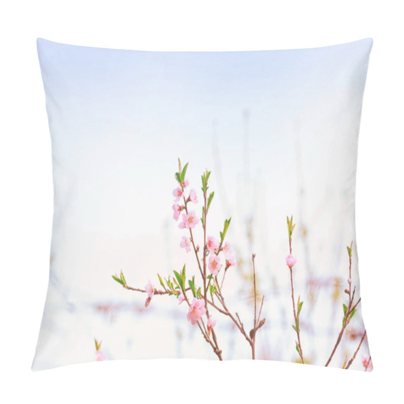 Personality  Blossoming Spring Branches Pillow Covers