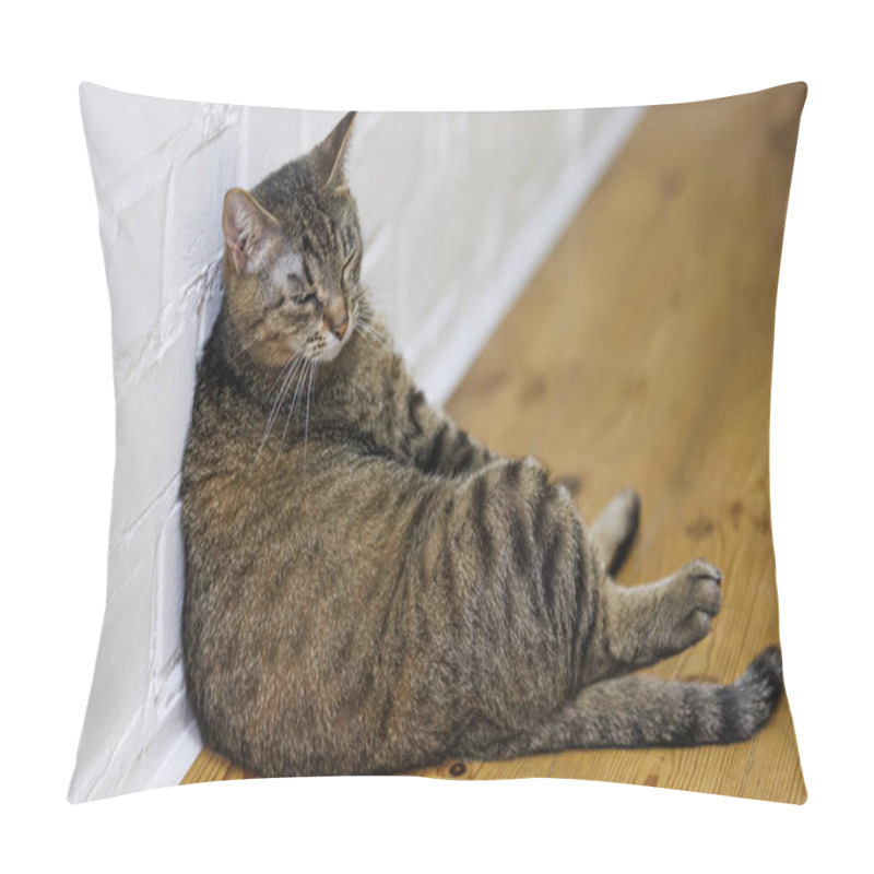 Personality  Cat Sitting Like A Human, Showcasing Its Quirky Personality And Providing A Delightful Glimpse Into Feline Behavior. Ideal For Pet Humor And Animal-themed Content. Pillow Covers