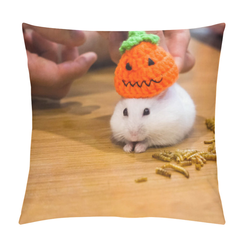 Personality  Cute White Winter White Hamster House Pet Wearing Halloween Knit Jack O Lantern Pumpkin Party Hat Eating Pet Snack Food In Halloween Festival Holiday. Pet Dressing Trick Or Treat Costume Decoration Pillow Covers