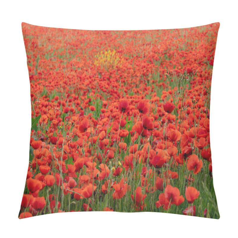 Personality  Field Of Poppies In Summer Pillow Covers