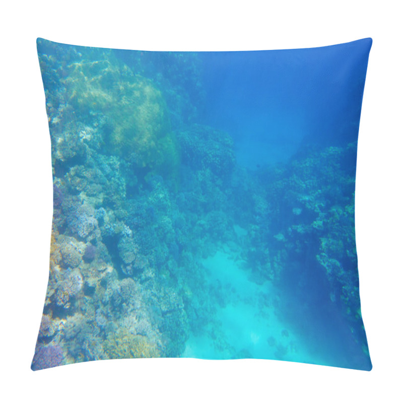 Personality  Beautiful Coral Reef Pillow Covers