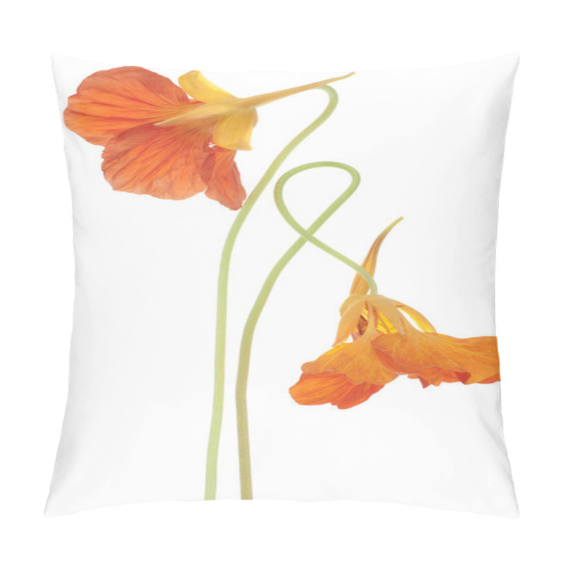 Personality  Nasturtium Flowers Pillow Covers