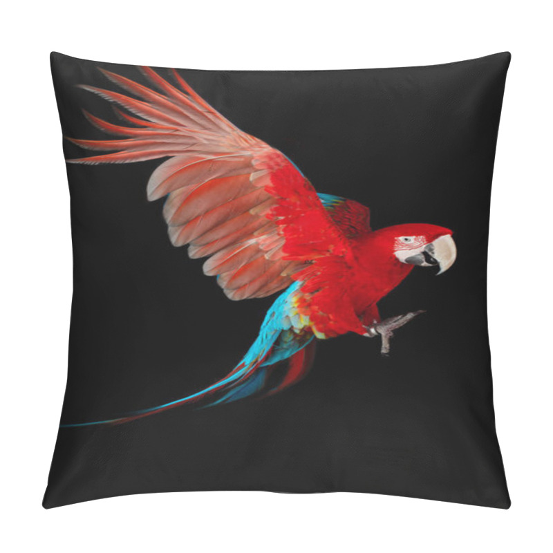 Personality  Flying Macaw Parrot Isolated On Black Background Pillow Covers