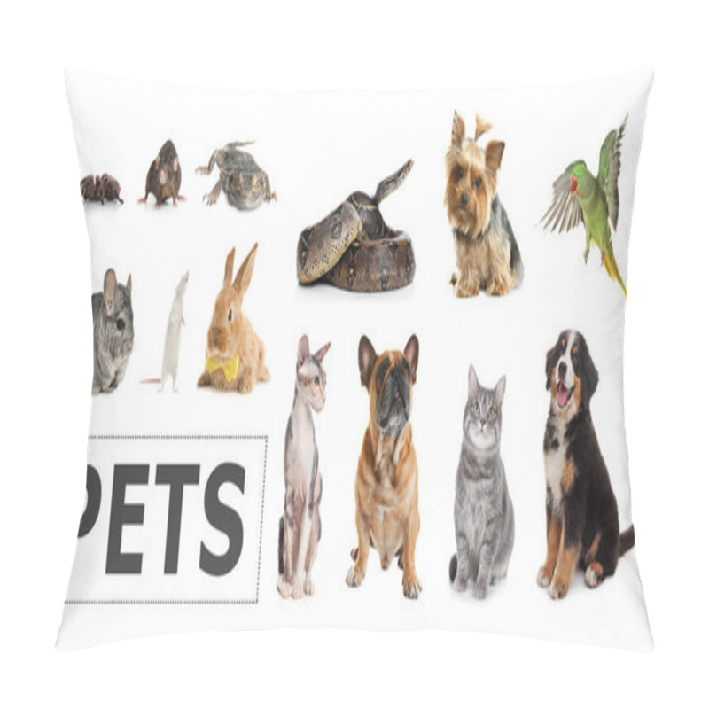 Personality  Set Of Different Pets On White Background. Banner Design  Pillow Covers