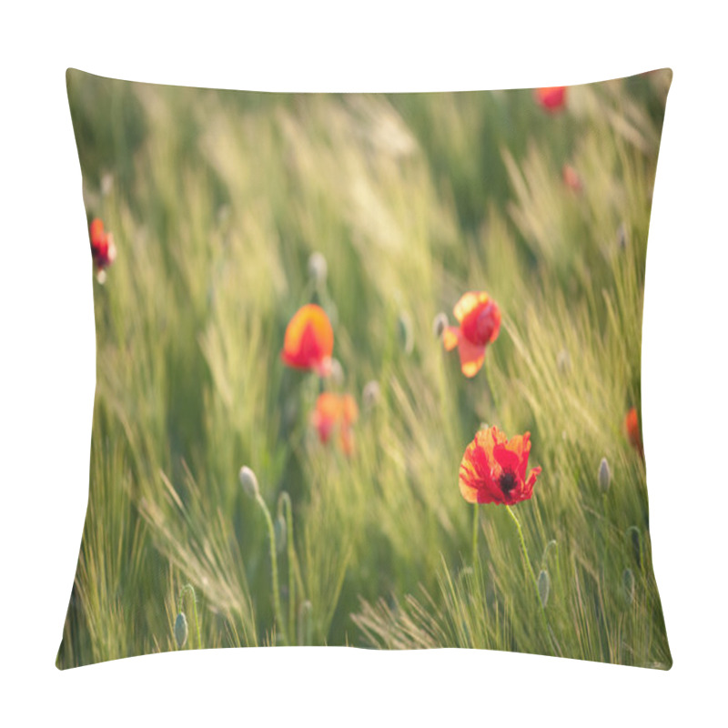 Personality  Red Poppies On Green Wheat Field Pillow Covers