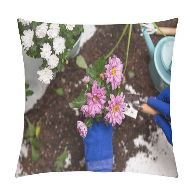 Personality  Photos From Top Of Person's Hands In Blue Gloves Transplanting Chrysanthemum On Table Pillow Covers