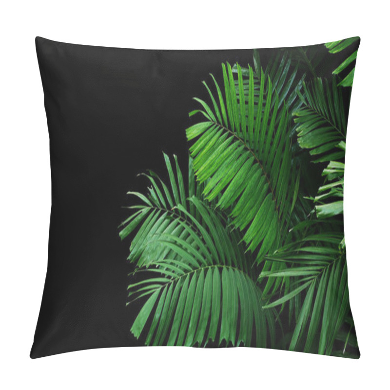 Personality  Tropical Palm Leaves, Rainforest Foliage Nature Plant Bush On Black Background. Pillow Covers