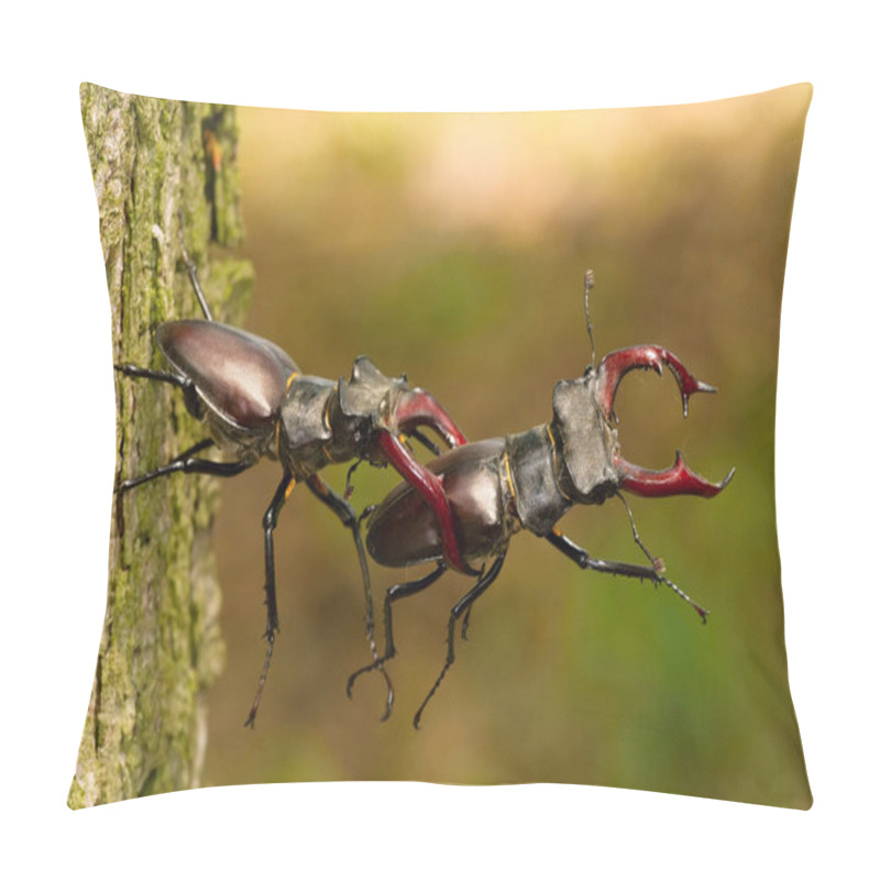 Personality  Stag Beetles, Lucanus Cervus Are Fighting For Better Position On The Tree Bark, During Mating Season, Colorful Bokeh Background Pillow Covers