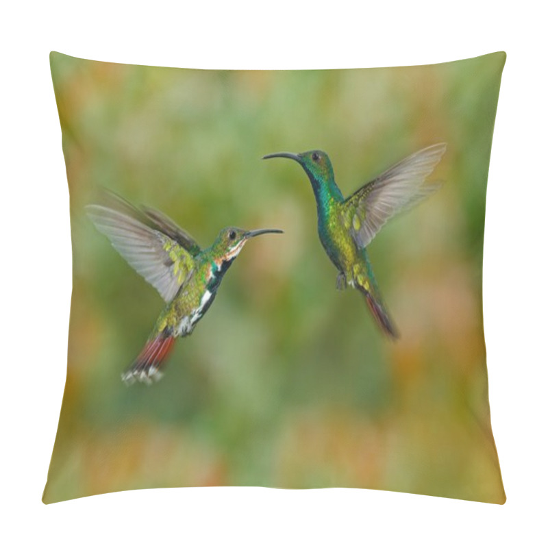 Personality  Couple Of Two Hummingbirds  A Pillow Covers