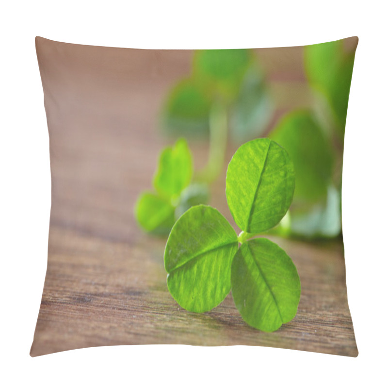 Personality  Leaf Clover On Wood Background Pillow Covers