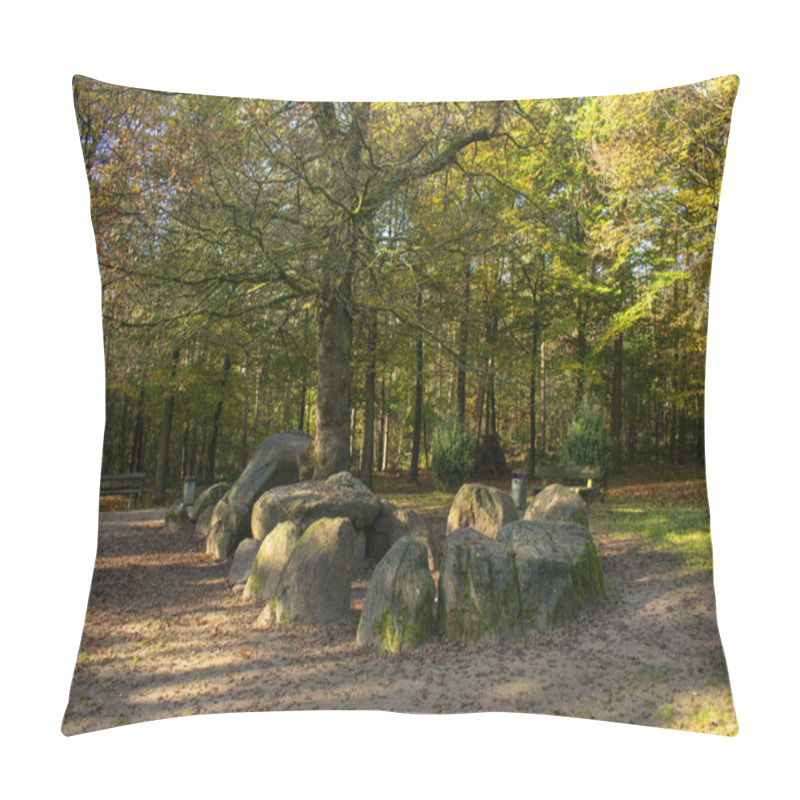 Personality  Barrow In Sunny Weather In Germany, NRW, Heiden Pillow Covers