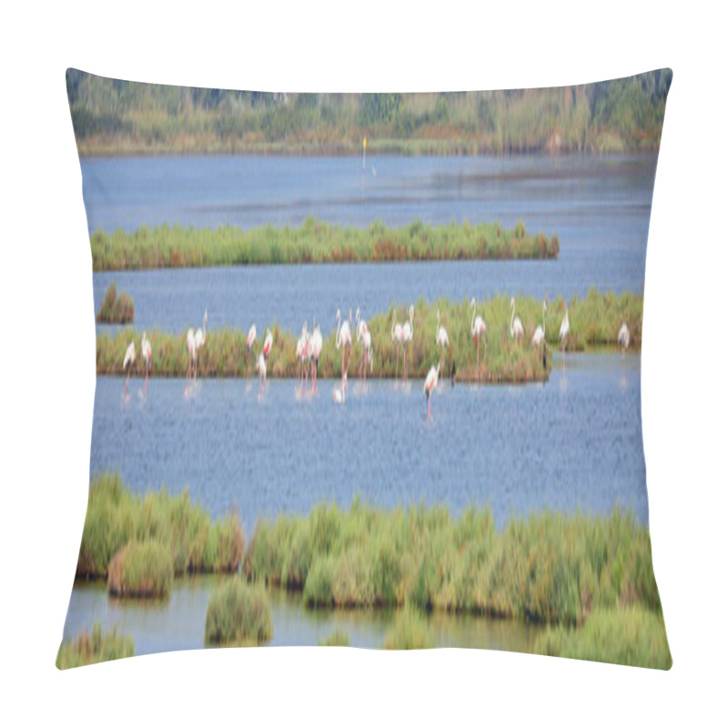 Personality  Large Group Of Flamingo Birds In A Wetland Area With Shallow Ponds And Small Lakes Before Migration Season Pillow Covers