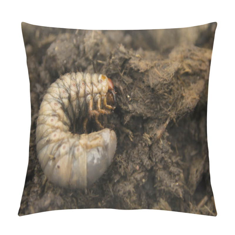 Personality  Rhinoceros Beetle Larva In The Ground Pillow Covers