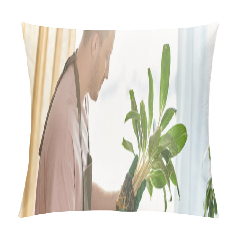 Personality  A Man Tenderly Holds A Potted Plant In Front Of A Window, Bathed In Soft Natural Light. Pillow Covers