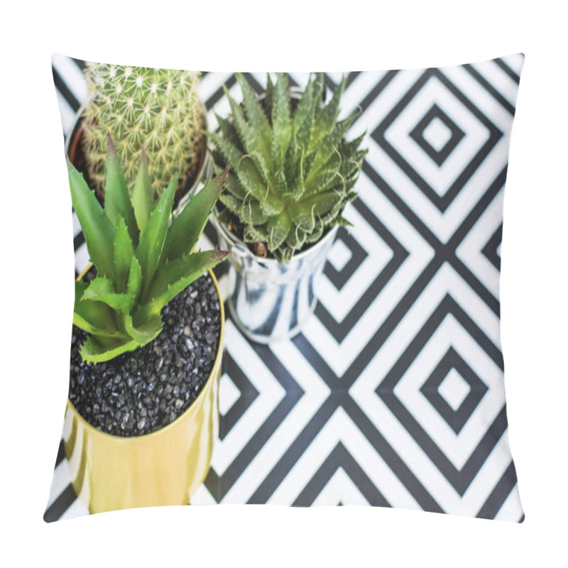 Personality  Green Cacti In Silver Pots Pillow Covers