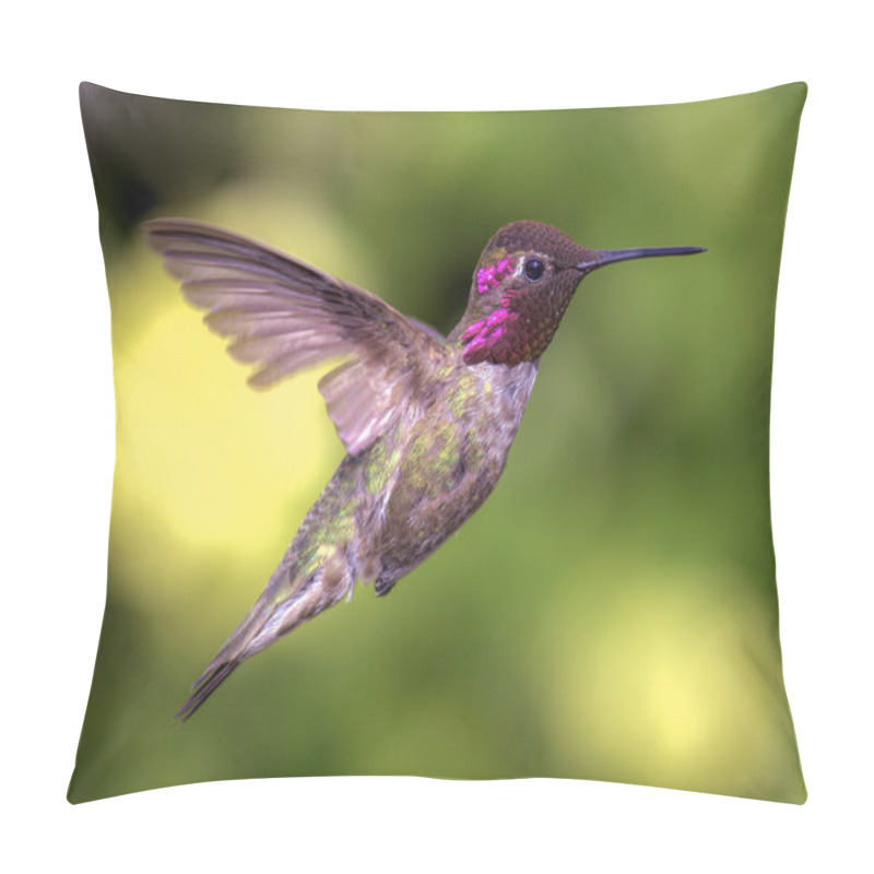 Personality  Hummingbird In Flight Pillow Covers