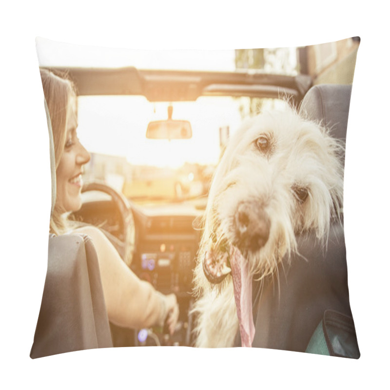 Personality  Woman And Her Labradoodle Dog Pillow Covers