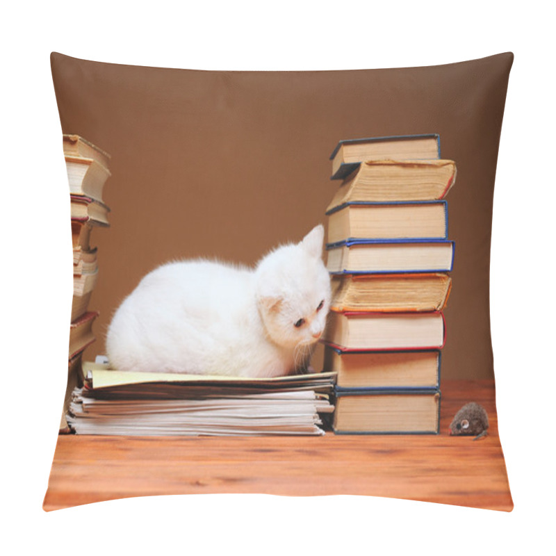 Personality  White Cat Looking At The Plush Mouse Pillow Covers