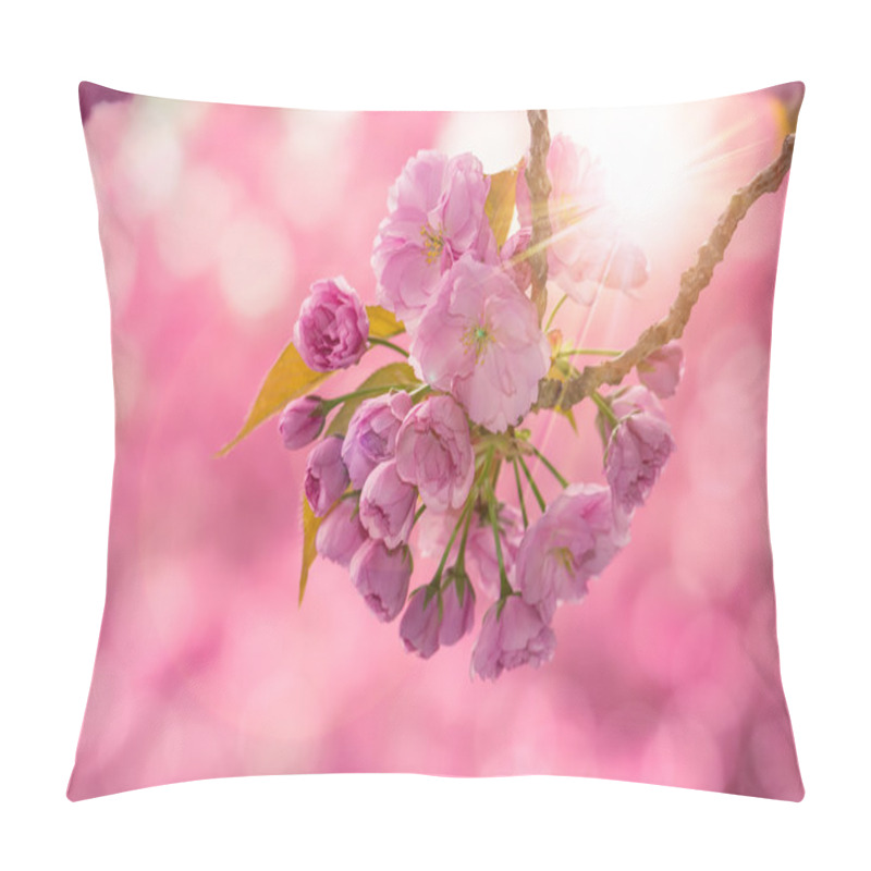 Personality  Pink Cherry Blossom Flowers Pillow Covers